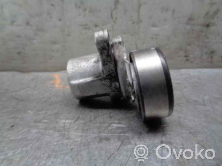 KIA Sportage Napinacz paska alternatora 252812A200