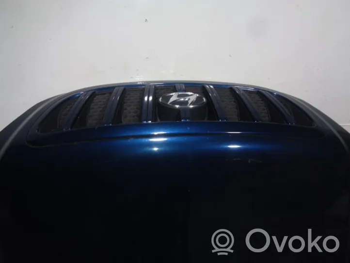 Hyundai Terracan Engine bonnet/hood 79000H1211