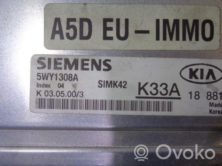 KIA Rio Sterownik / Moduł ECU K33A