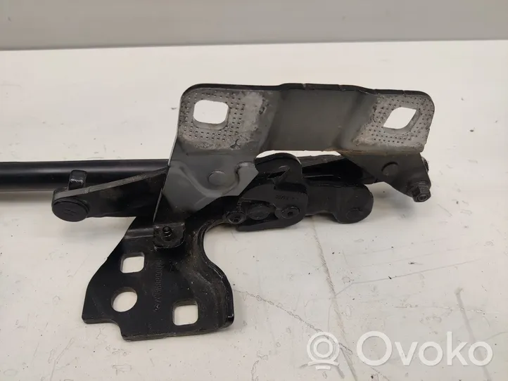 Mercedes-Benz GL X166 Cerniere del vano motore/cofano A1668800028