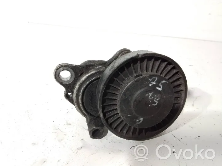 Land Rover Freelander Napinacz paska alternatora 754000