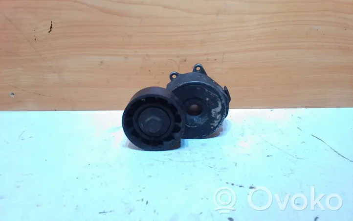 Opel Vectra C Tensor de la correa del alternador TF053