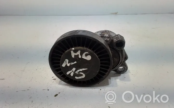 Rover 25 Generator/alternator belt tensioner 754000