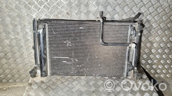 Ford Galaxy Set del radiatore 7M3121253G