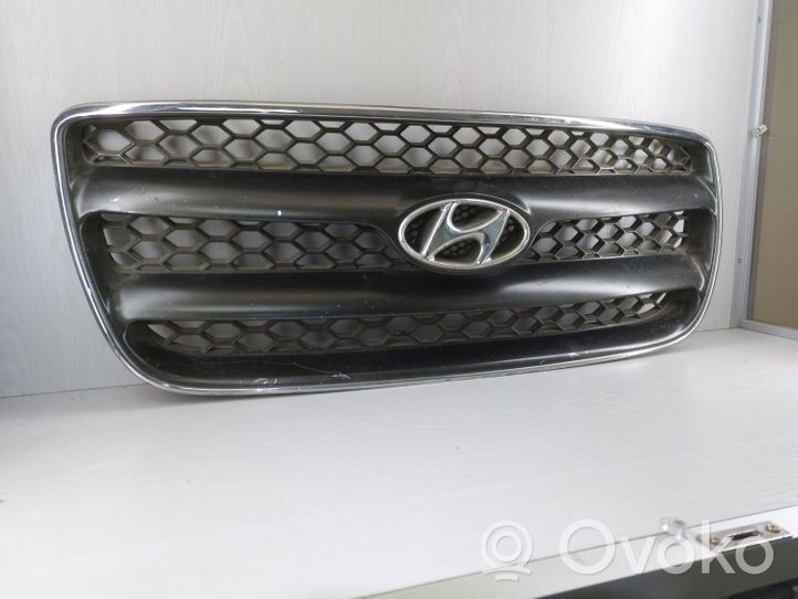 Hyundai Santa Fe Grotelės viršutinės E86512B010