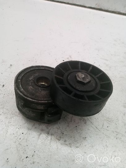 Ford Focus Napinacz paska wielorowkowego / Alternatora 530615