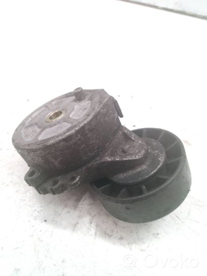 Ford Focus Napinacz paska wielorowkowego / Alternatora 530615