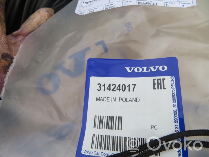 Volvo S60 Guarnizione in gomma portiera anteriore 31424017