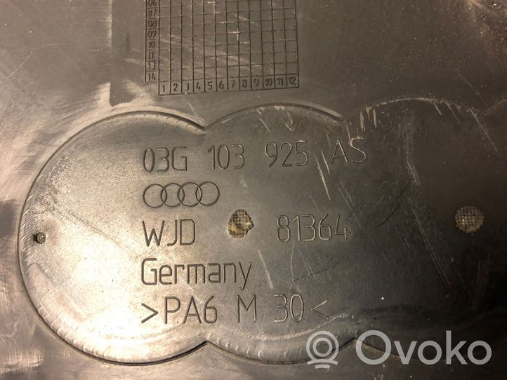 Audi A4 S4 B7 8E 8H Variklio dangtis (apdaila) 03G103925AS