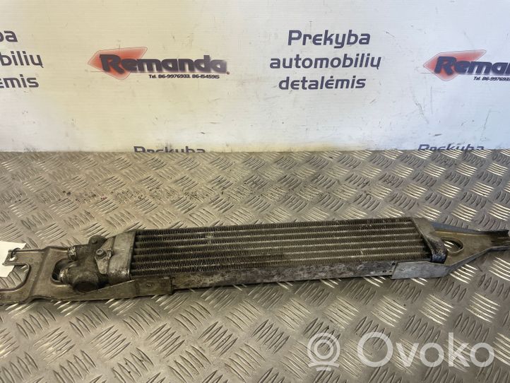 Mercedes-Benz ML W164 Radiatore del servosterzo A1645000100