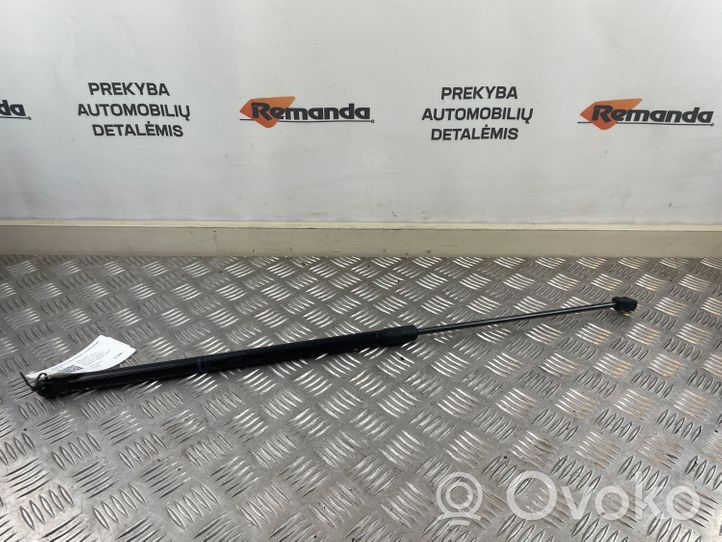 Volkswagen PASSAT CC Ammortizzatore portellone anteriore/cofano 3C8823359