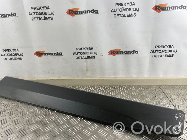 Ford Ecosport Rivestimento della portiera anteriore (modanatura) CN1520848