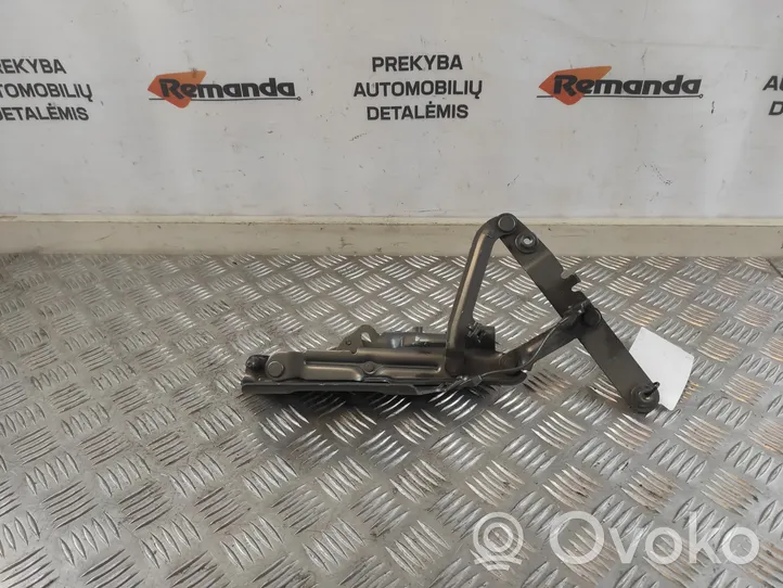 Opel Insignia B Cerniere del vano motore/cofano 39126608