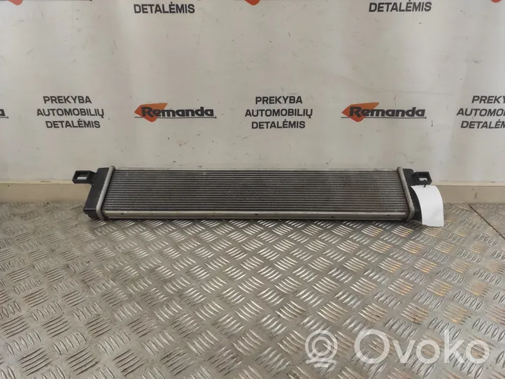 Toyota RAV 4 (XA50) Radiateur 