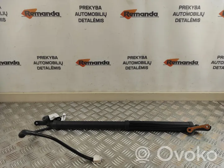 Toyota RAV 4 (XA50) Jambe de force de hayon 6892042020