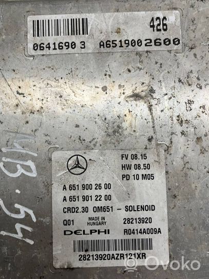 Mercedes-Benz Sprinter W906 Engine control unit/module A6519002600