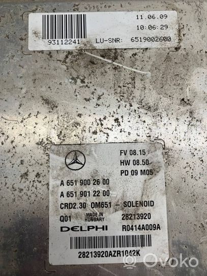 Mercedes-Benz Sprinter W906 Dzinēja vadības bloks A6519002600