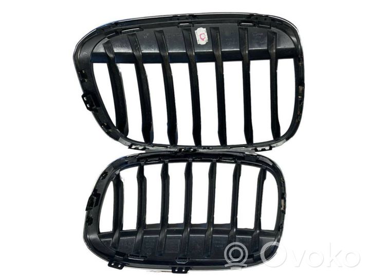 BMW X1 F48 F49 Front bumper upper radiator grill 7354824