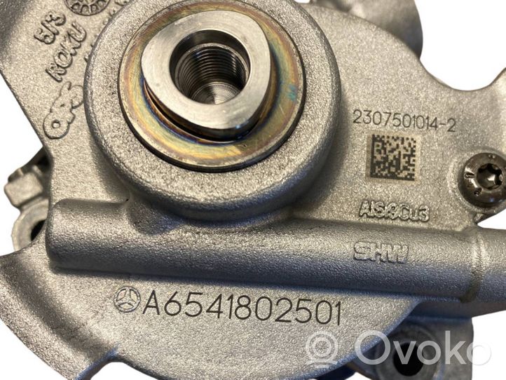 Mercedes-Benz GLA H247 EGR-venttiili/lauhdutin A6541802501