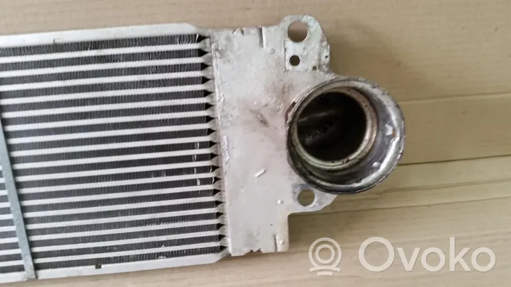 Volkswagen Multivan T5 Intercooler radiator 10471906