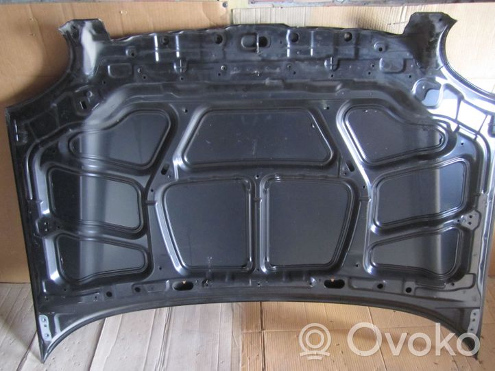 Hyundai Santa Fe Motorhaube 6640026020