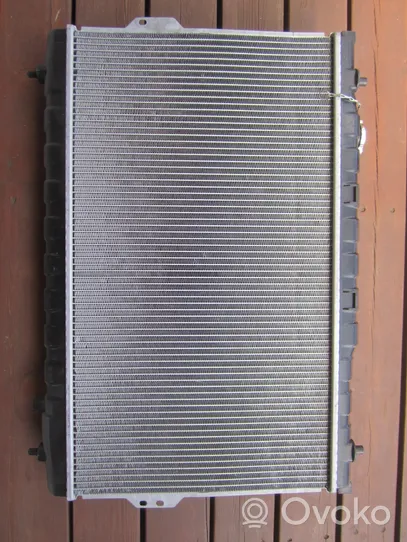 Hyundai Santa Fe Coolant radiator 