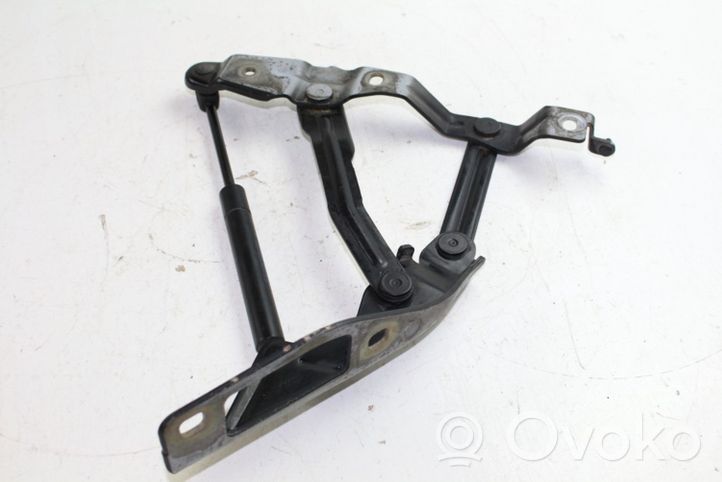 Audi TT Mk1 Cerniere del vano motore/cofano 8N0823301