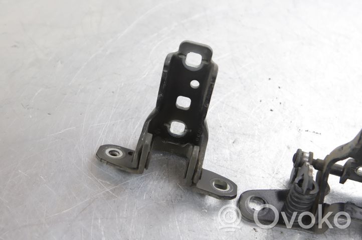 Dodge RAM Front door hinges set 