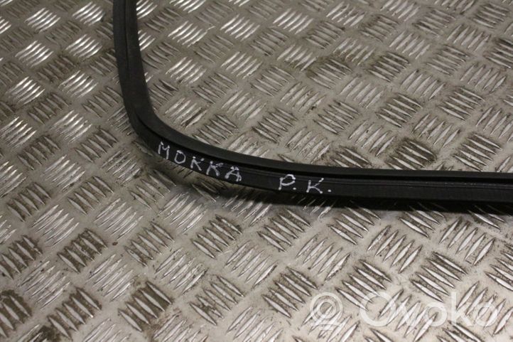 Opel Mokka Front door rubber seal 