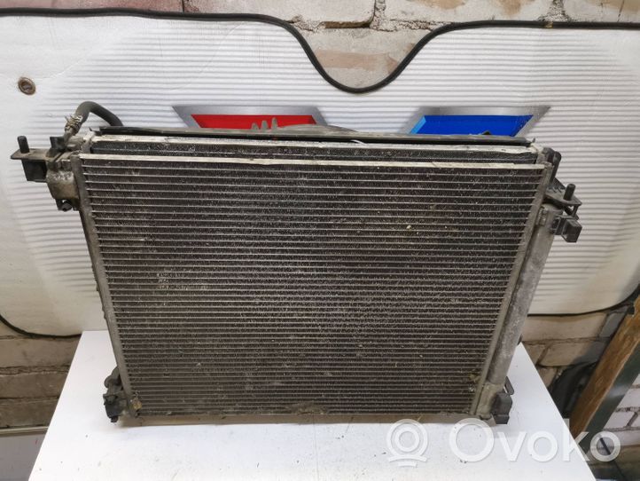 Renault Megane IV Kit Radiateur 214108175R