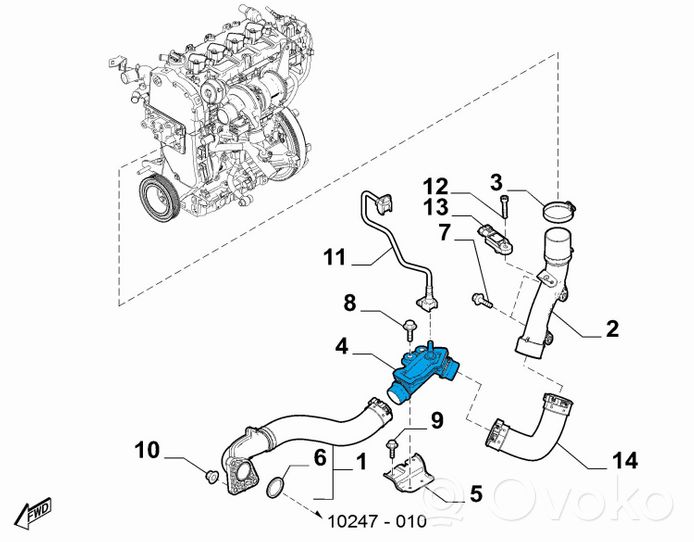 Fiat 124 Spider Välijäähdyttimen letku 6000612007