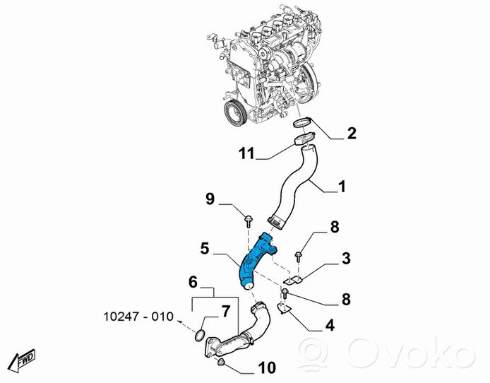 Fiat 124 Spider Välijäähdyttimen letku 6000612006