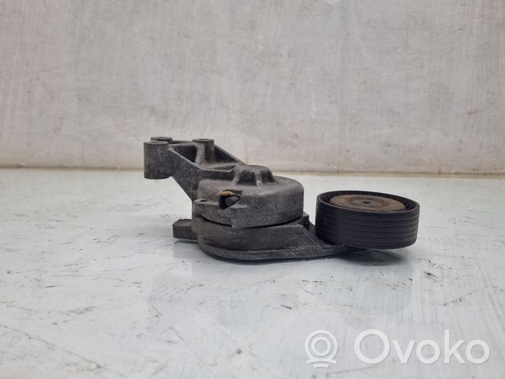 Volkswagen Sharan Timing belt/chain tensioner 038903315