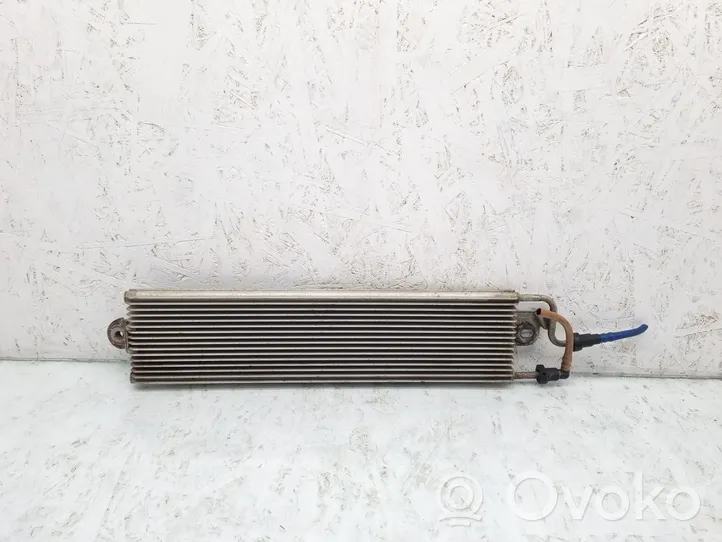 Volkswagen PASSAT B6 Radiatore del carburatore (radiatore) 