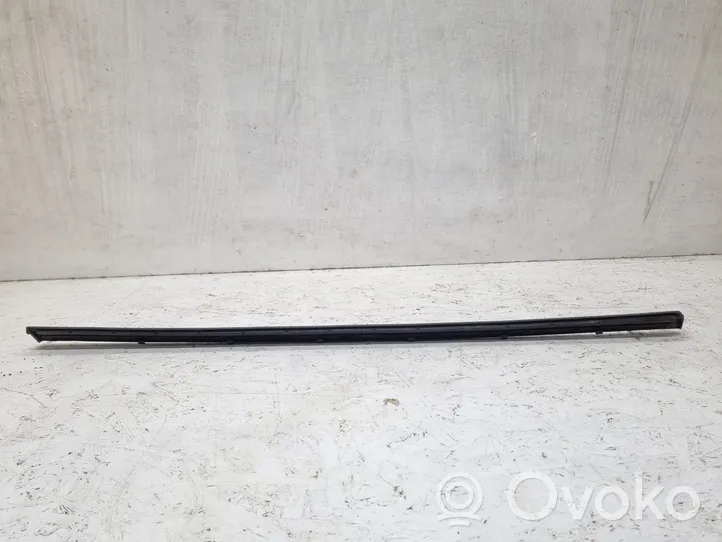 Volkswagen PASSAT B6 Front door trim (molding) 3C0854940