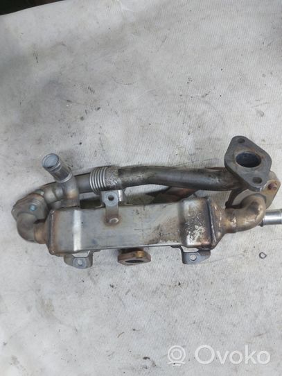 Ford Galaxy EGR-venttiili/lauhdutin bH038134513