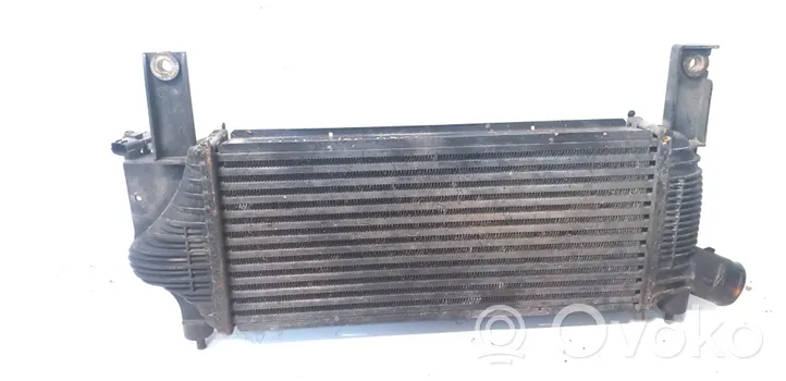 Nissan Pathfinder R51 Radiatore intercooler 14461EB360