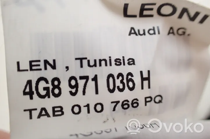 Audi A7 S7 4G Etuoven johtosarja 4G8971036H