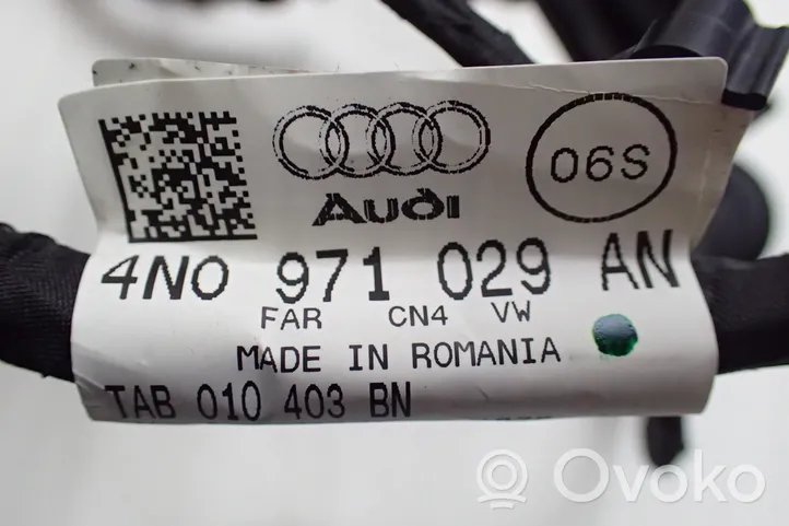 Audi A8 S8 D5 Wiązka przewodów drzwi przednich 4N0971029AN