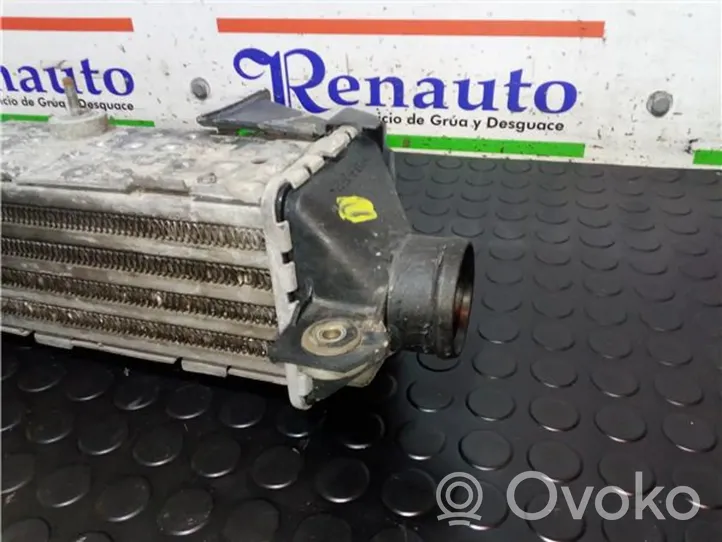 Seat Cordoba (6K) Radiatore intercooler 