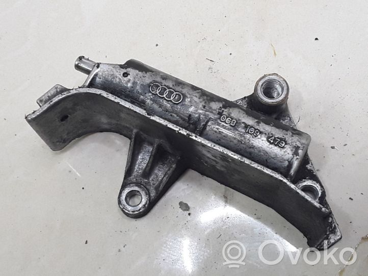 Audi A3 S3 8L Napinacz paska / łańcucha rozrządu 06B109479