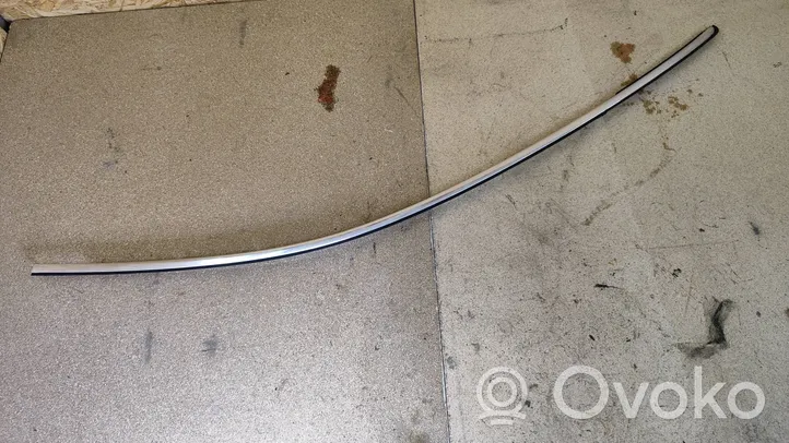 Jaguar X-Type Other front door trim element 