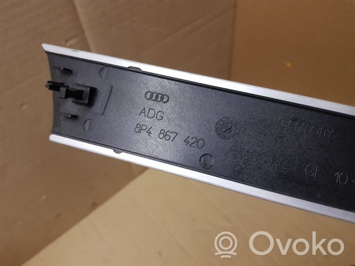 Audi A3 S3 A3 Sportback 8P Rivestimento della portiera posteriore 8P4867420