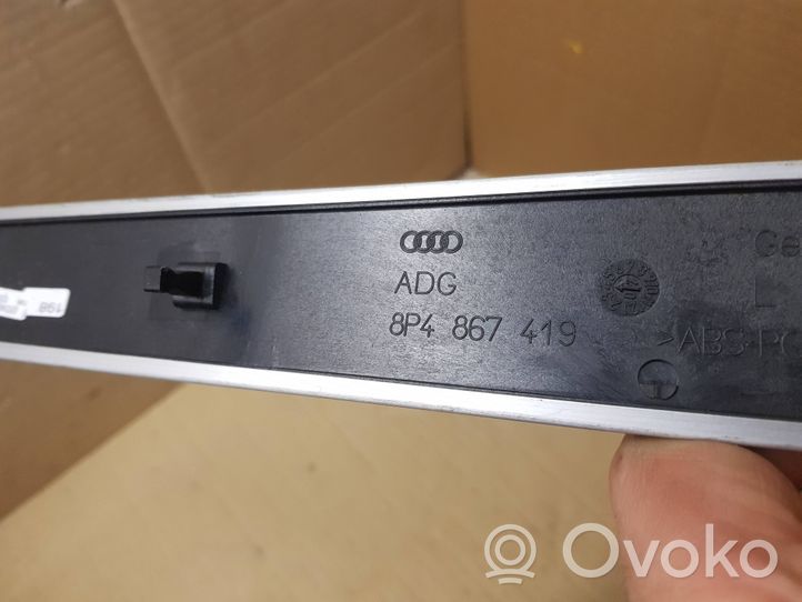 Audi A3 S3 A3 Sportback 8P Rivestimento della portiera posteriore 8P4867419