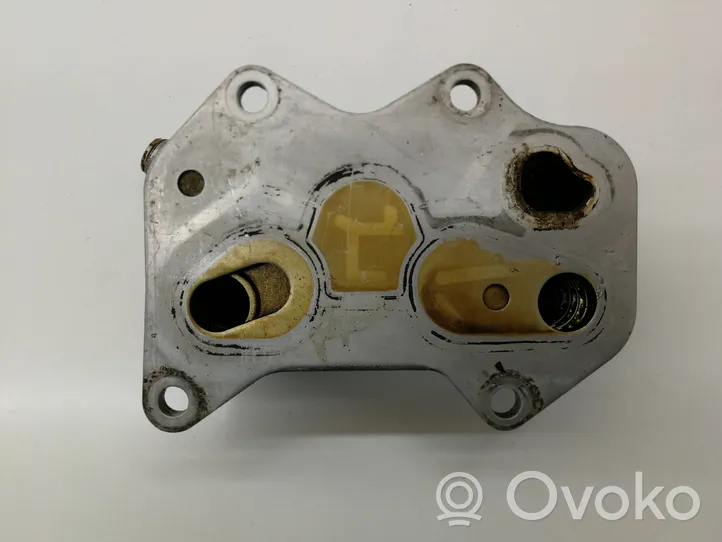 Audi A6 S6 C6 4F Radiatore dell’olio del motore 06D117021C