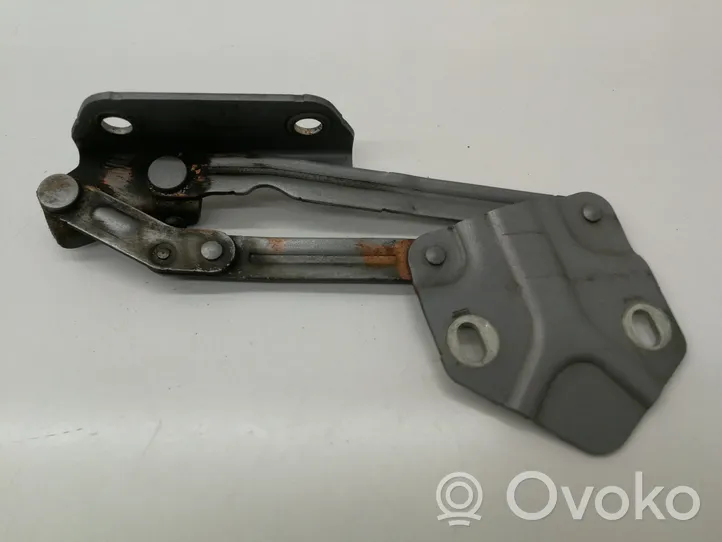 Volkswagen Caddy Engine bonnet/hood hinges 1T0823301F