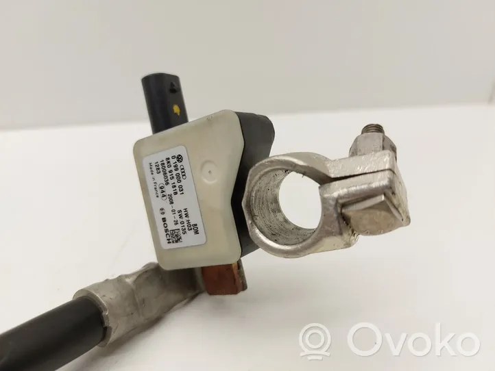 Audi A4 S4 B8 8K Minuskabel Massekabel Batterie 8K0915181B