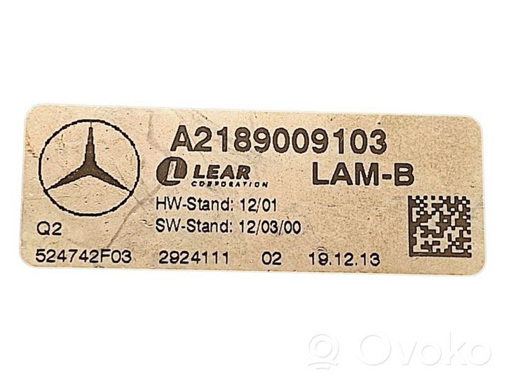 Mercedes-Benz C W204 Module de ballast de phare Xenon A2189009103