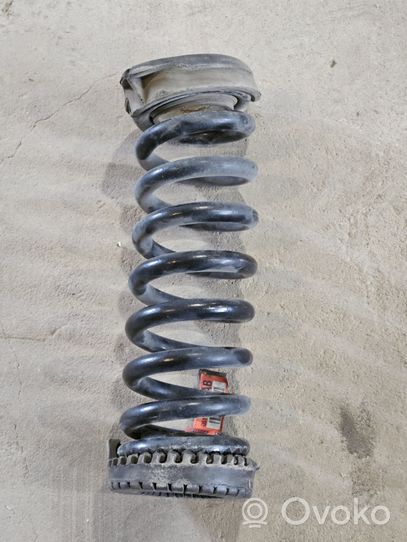 Dodge Challenger Rear coil spring 25591F