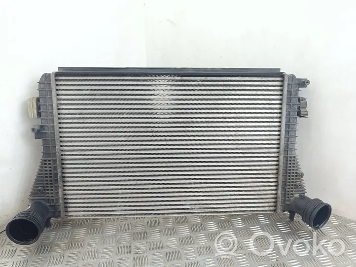 Volkswagen Golf V Chłodnica powietrza doładowującego / Intercooler 1K0145803